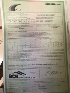 Осаго на 8 месяцев