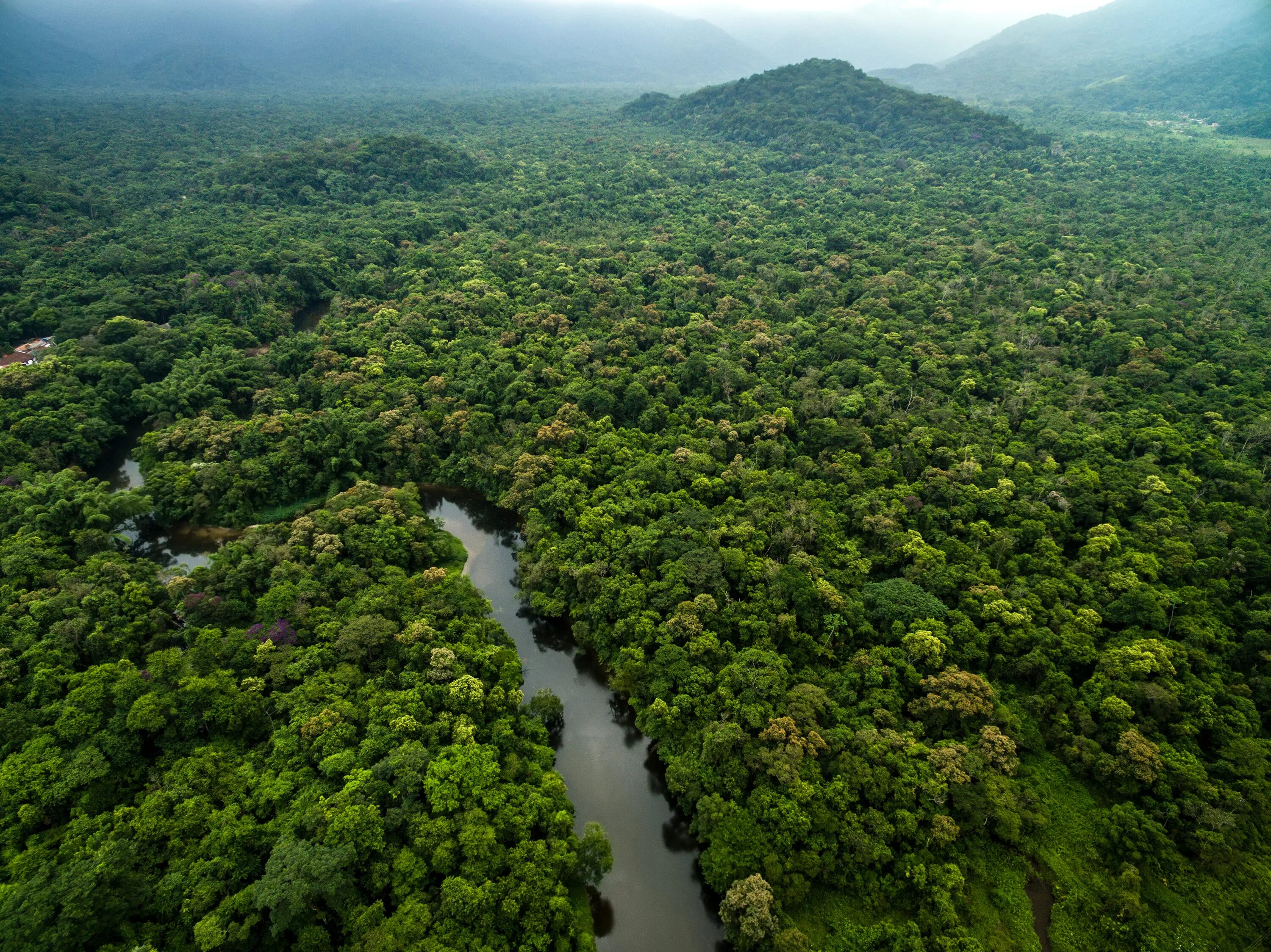 Amazon borneo congo. Бразилия тропические леса Сельва. Тропические леса амазонки в Бразилии. Сельва амазонки Бразилия. Сельва амазонки, Южная Америка.