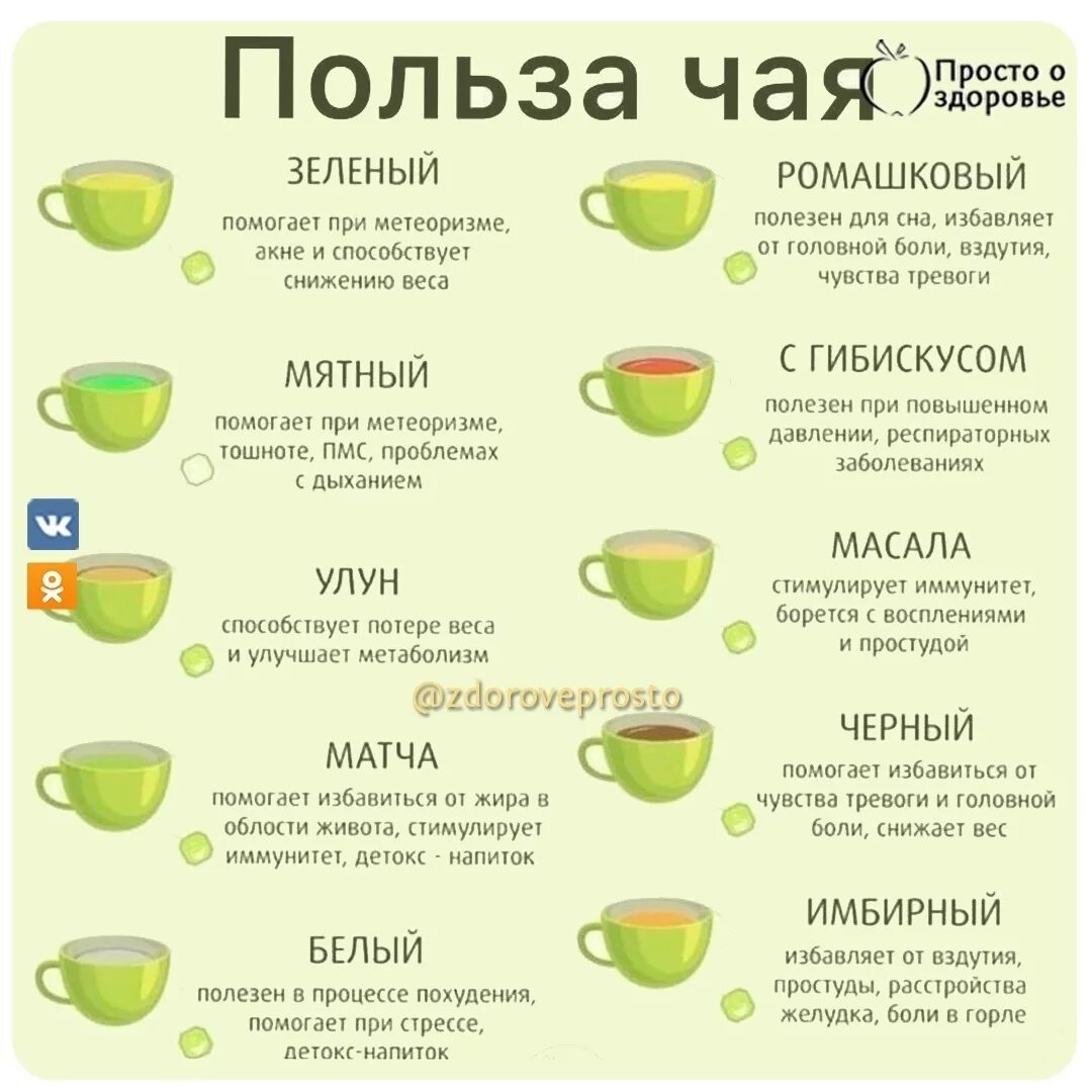 Вреден ли зеленый. Польза чая. Полезные чаи для организма. Чем полезень зелёный чай. Чем полезен зеленый чай.