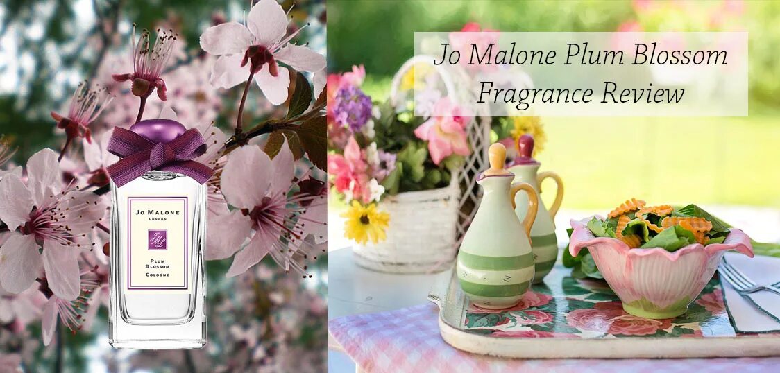 Silk blossom jo. Джо Малон Плум блоссом. Jo Malone - духи Jo Malone Plum. Jo Malone Plum Blossom 2015. Jo Malone Plum Blossom 2012.