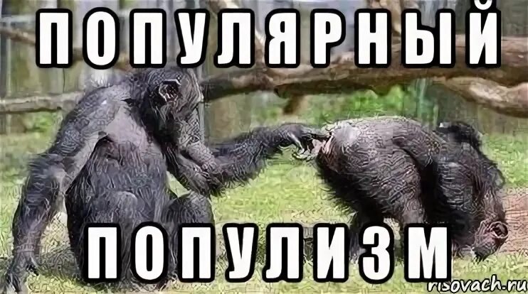 Н н ы й п