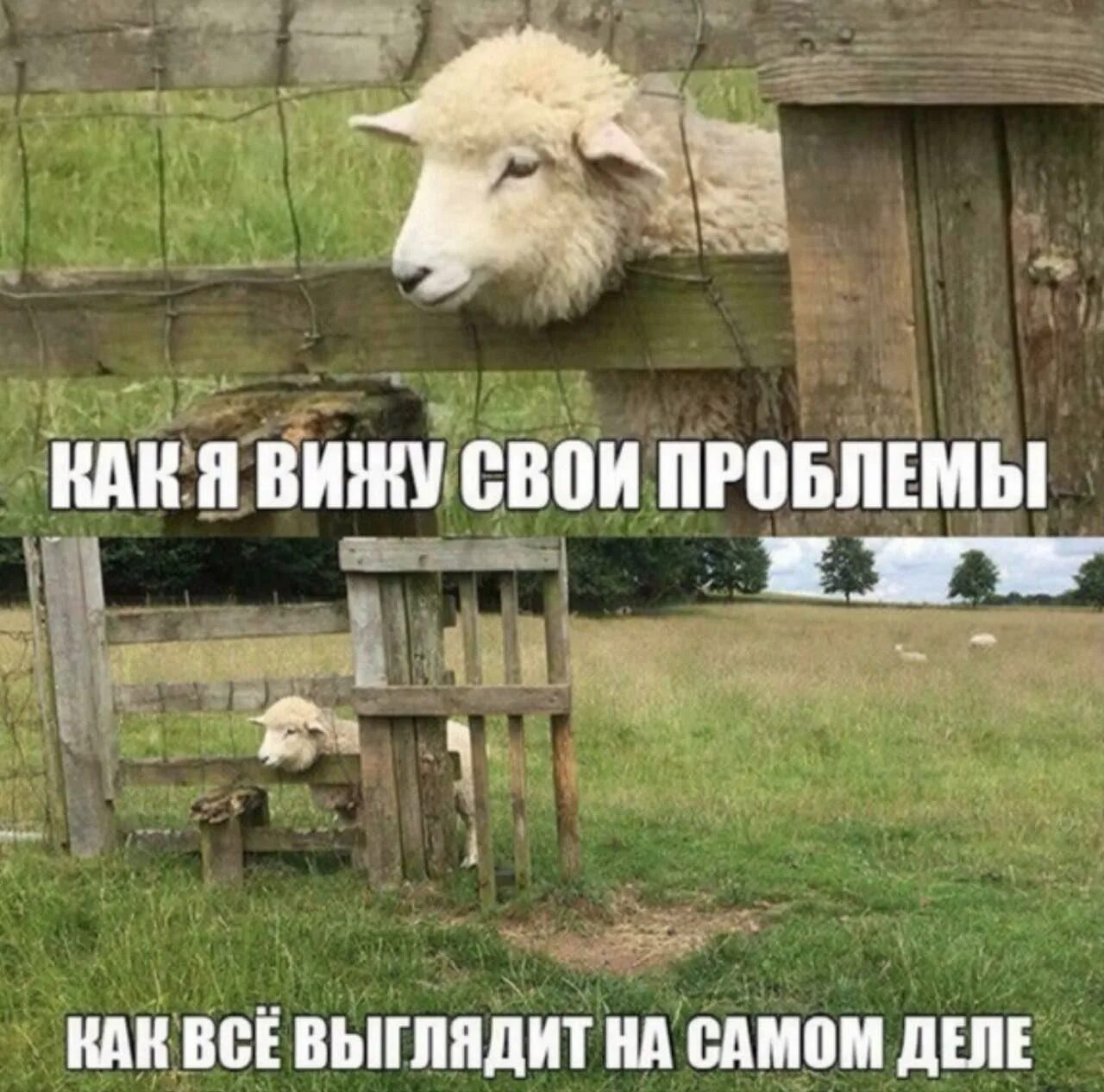 Бабиченко художница. Шутки про железнодорожников. Папарацци смешные. Со стороны смешно. Мистер бин аватар.