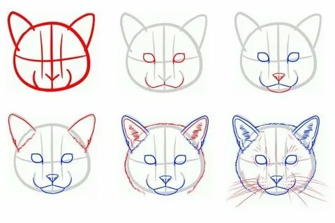 как нарисовать морду кота: 2 тыс изображений найдено в Яндекс Картинках