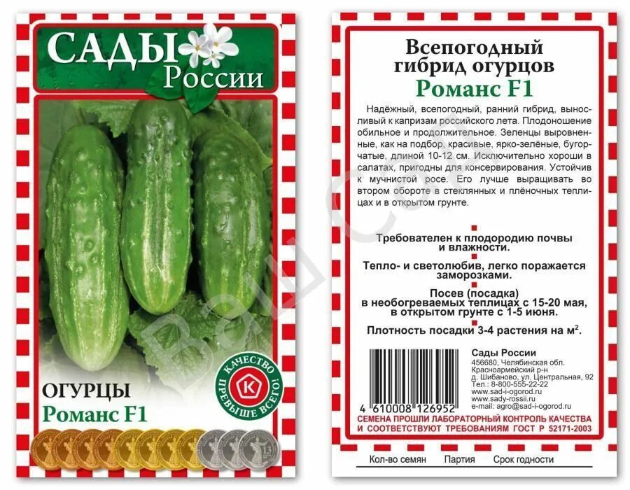 Лучшие сорта самоопыляемых огурцов для засолки. Гибрид огурца. огурец романс. сорта огурцов с пучковым типом плодоношения. щелкунчик гибрид огурца.