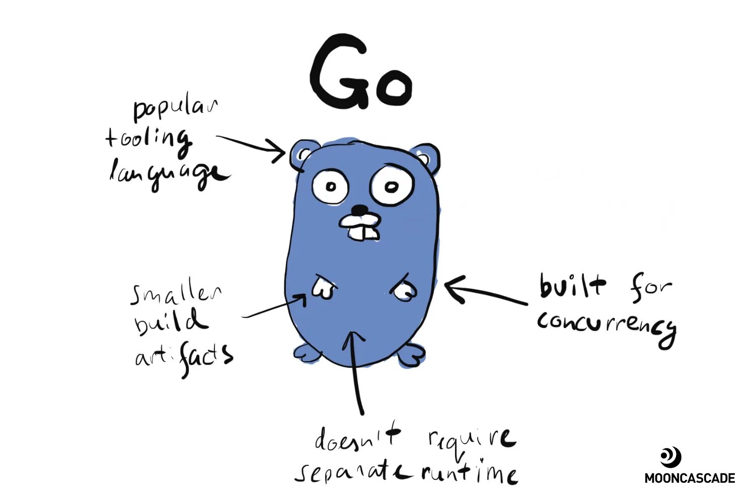 Golang value. Golang. Golang мемы. Шутки про golang. Java или golang.