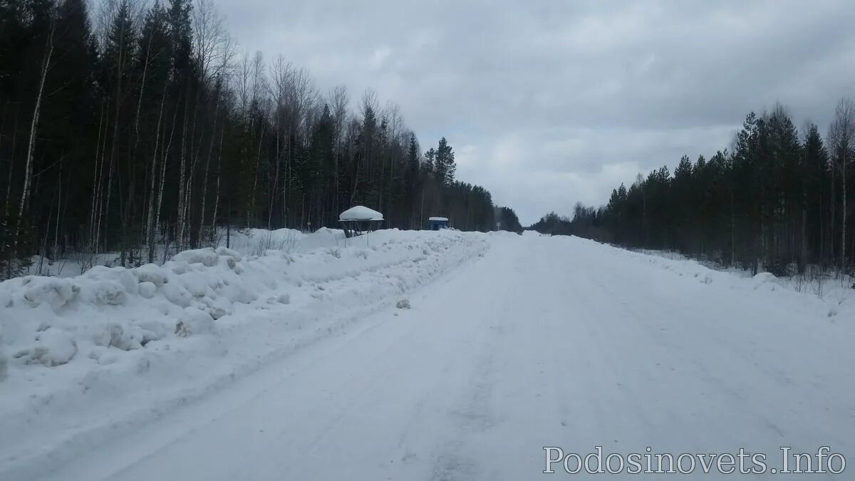Кировская обл пгт подосиновец. Попутчики подосиновец. Прогноз погоды кировская обл подосиновец. Подосиновец киров. Прогноз погоды кировская обл подосиновец.