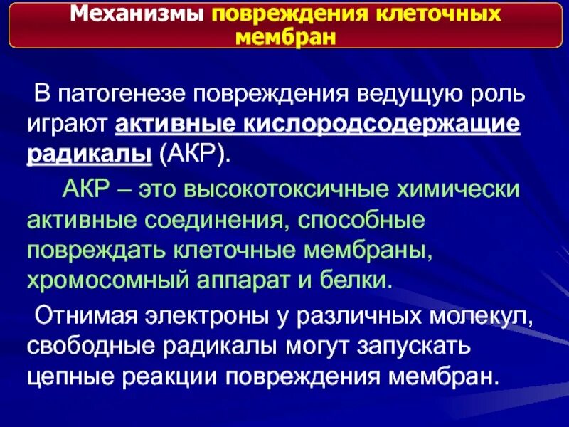 Общие механизмы повреждения. Механизмы повреждения клеток. общие механизмы повреждения клетки. универсальные механизмы повреждения клеток. механизм повреждения мембран.