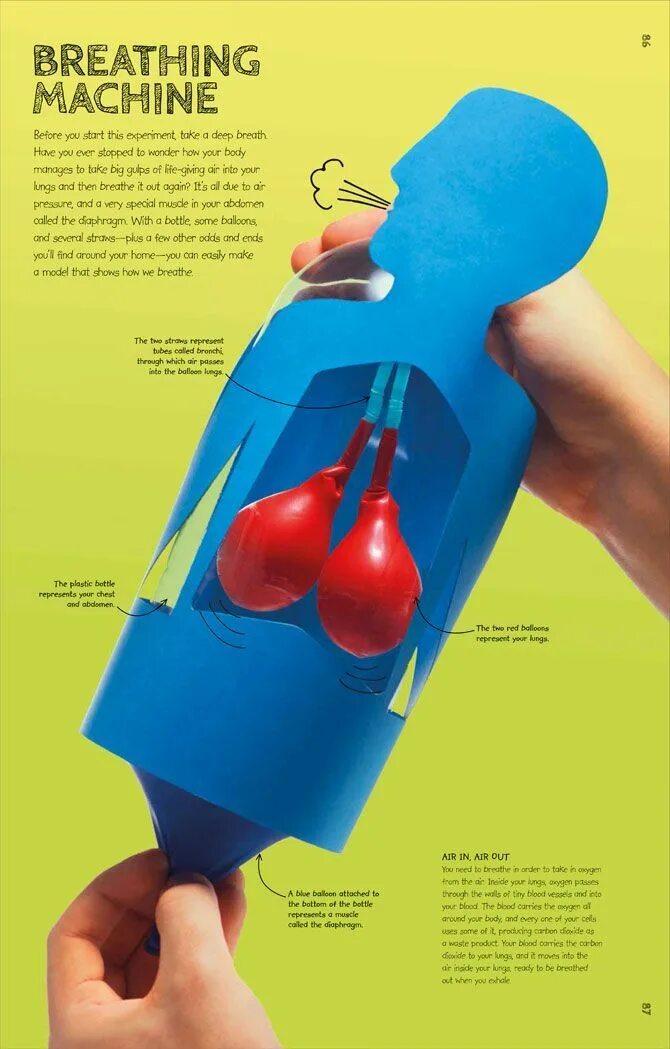 This experiment