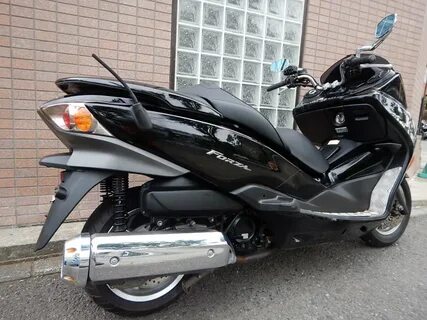Honda forza mf10