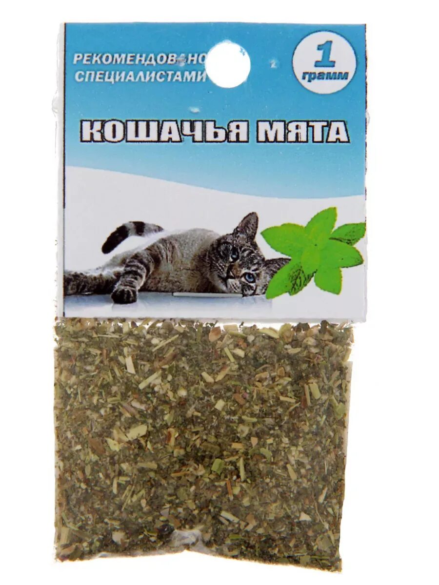 Как дать коту кошачью мяту. Как дать коту кошачью мяту