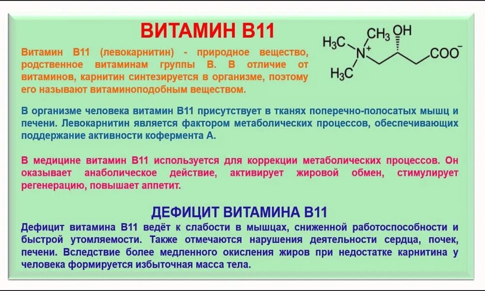 Карнитин для чего нужен организму. Витамин в11. Карнитин (витамин в11). Витамин в11 гипервитаминоз. Витамин в11 функции.