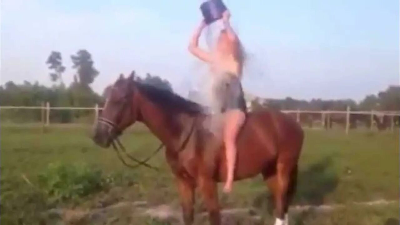 Пояс целомудрия для женщин. Брунгильда смерть. Ride a pony. Пояс верности 2022. Спаривание лошадей.