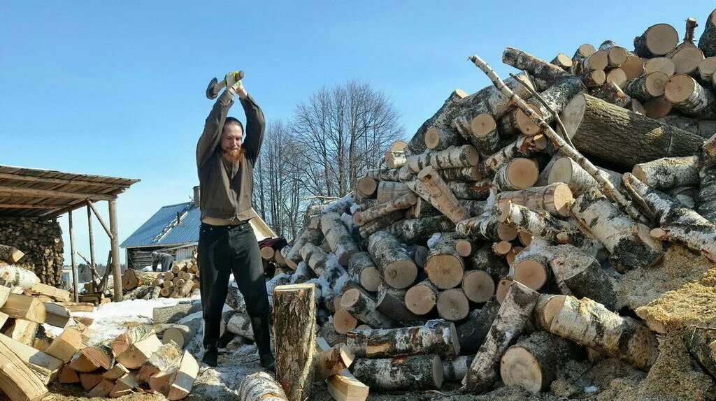 Срубленное дерево. Он брал задание на рубку дров. Колка дров. Топор в бревне. Заготовка дров.