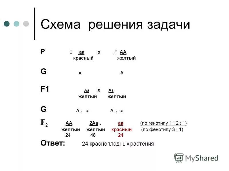 Схема решения задач по генетики. Решение генетических задач. Таблица для генетических задач. Решение задач по генетике.