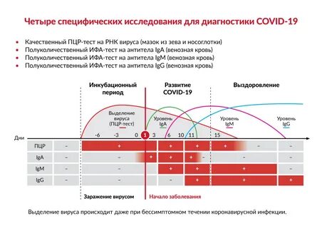 Пцр тест результат как узнать