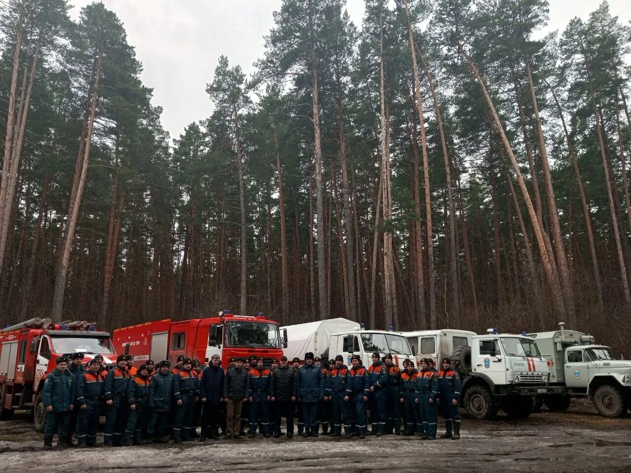 Уровень суры алатырь