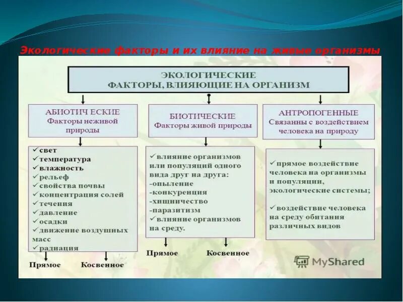 На сколько групп можно разделить все биотические. Экологические факторы влияющие на организм. Факторы среды и их влияние на организм таблица. Экологические факторы среды влияющие на живой организм. Влияние экологических факторов на организмы.