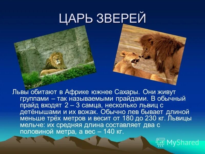 Лев описание для 1 класса