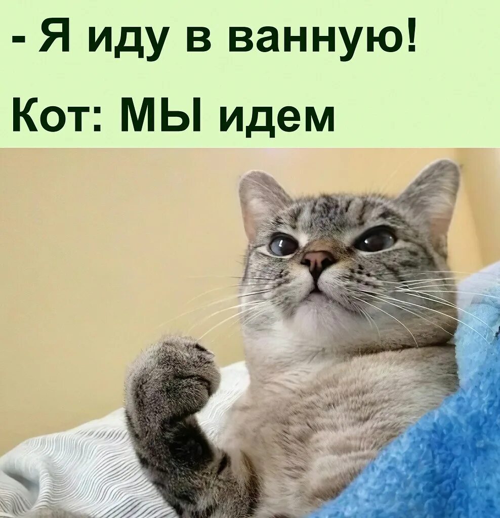 Цитата у самурая нет цели. У самурая нет цели только путь. у самурая нет цели только путь мем. у самурая нет цели только путь прикол. у самуря еет цели есть толькопуть.