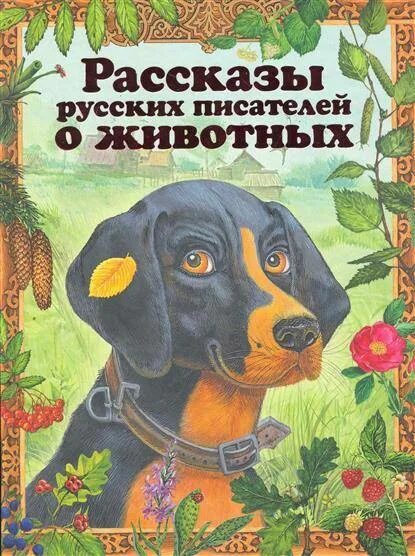 Произведения о животных. Рассказы о животных Писатели. Сборник рассказов о животных. Рассказы о животных русских писателей.