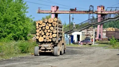 Один из лесопромышленных комплексов расположен в