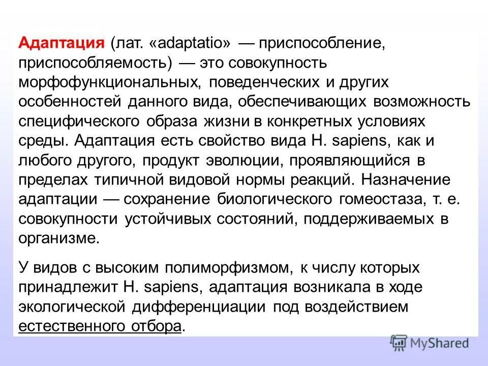 морфологические адаптации растений. адаптация ели. место обитания ели обыкновенной. адаптация ели. сосна черты приспособленности.