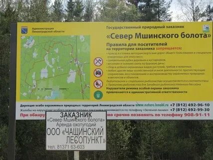 Расписание ленинский мшинская