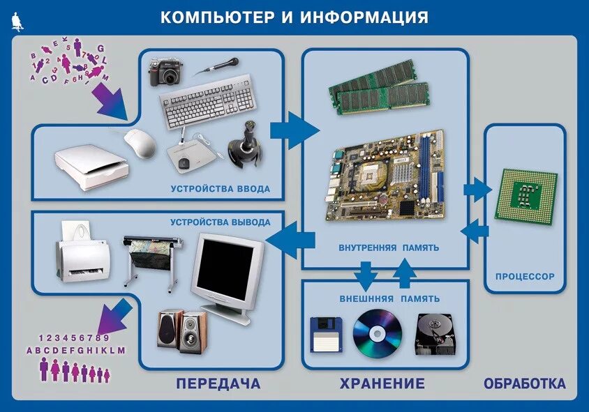 Что можно брать на информатику
