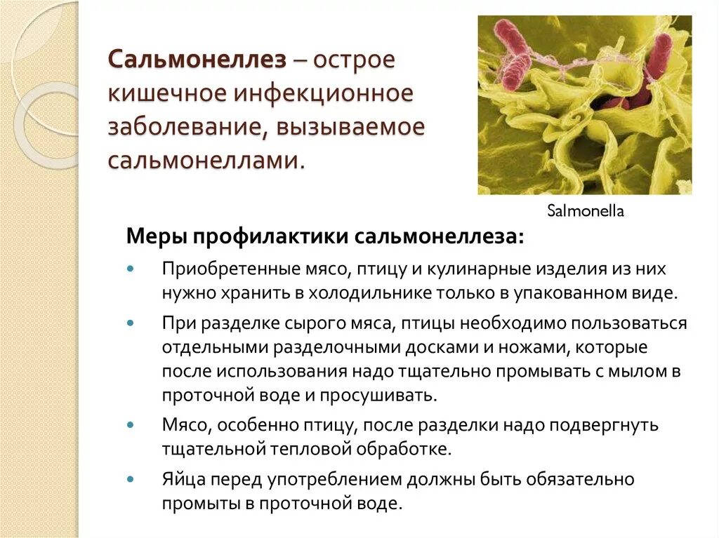 Инфекционные заболевания рвота. Кишечная инфекция сальмонеллез симптомы. Меры профилактики заболеваний сальмонеллезом. Сальмонеллы симптомы заболевания. Сальмонеллез симптомы причины.