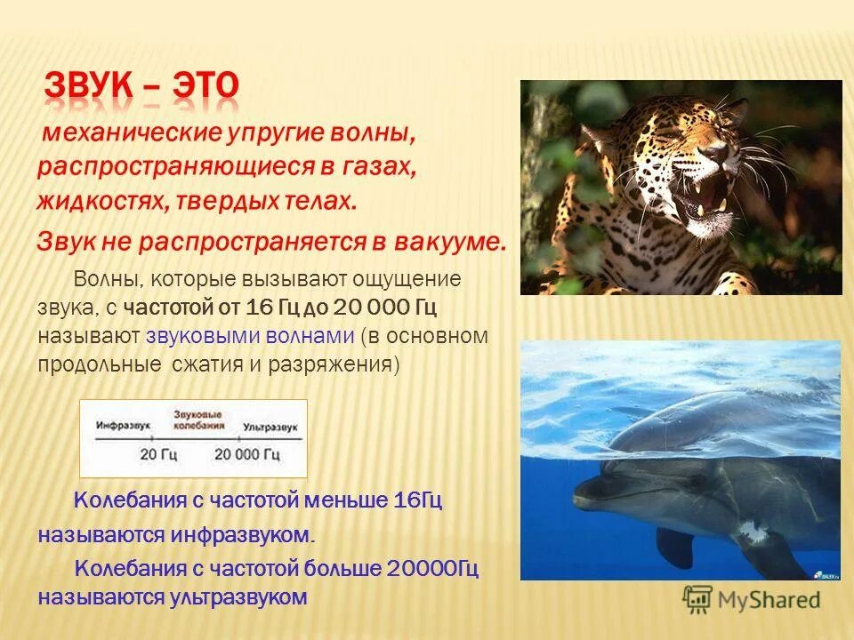 Амплитуда колебаний звука. Колебания частотой менее 16 гц называются. Звуковые колебания это механические колебания с частотой. Частота колебаний в физике. Как определяется частота колебаний.