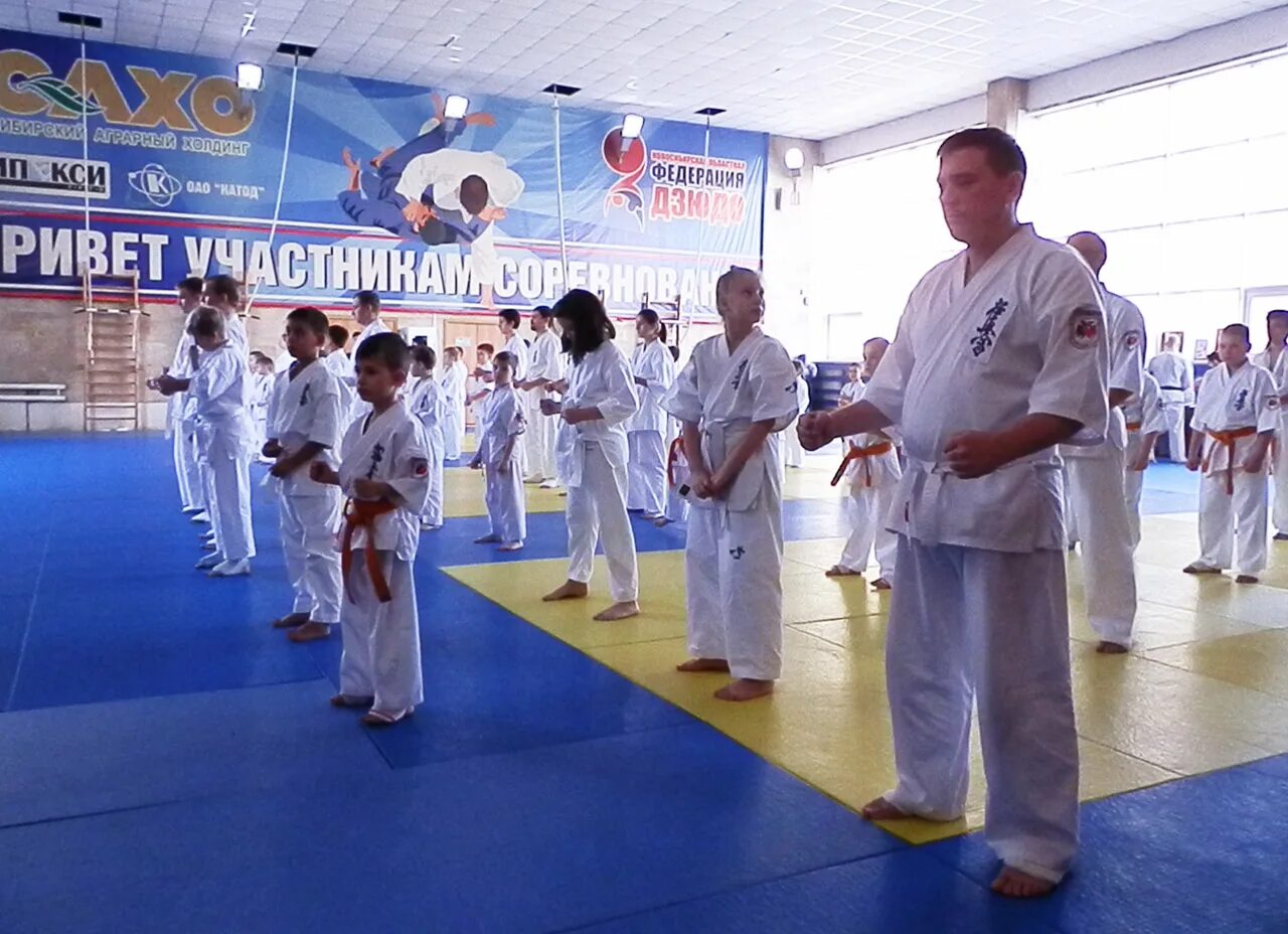 Аттестация на пояса киокусинкай каратэ. Где будет проходить аттестация по карате в ставрополе. Аттестация по каратэ. Аттестация по карате. Карате саратов федоров александр.