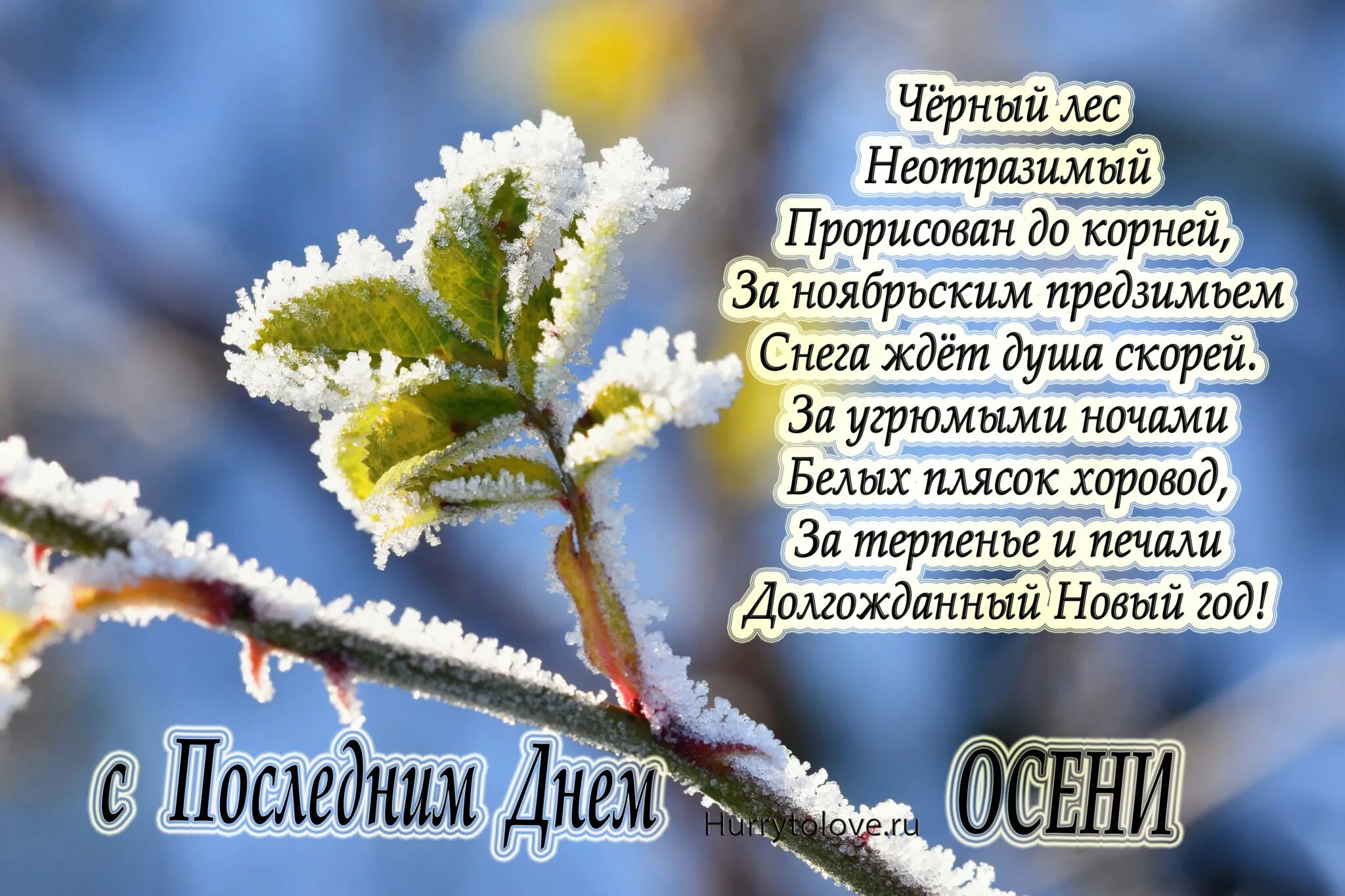 Открытки 30 ноября последний день осени. Последний день осени 30 ноября картинки с надписями. последний день осени завтра зима картинки с надписями. стихи последний день осени а завтра зима. картинки с последними днями ноября 2025 года.