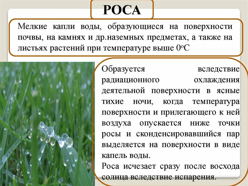 Утром выпадает на траву. Капли воды на листе растения. Мелкие капли. При добавлении в почву воды появляются. Почему летом на растениях появляются капли воды.