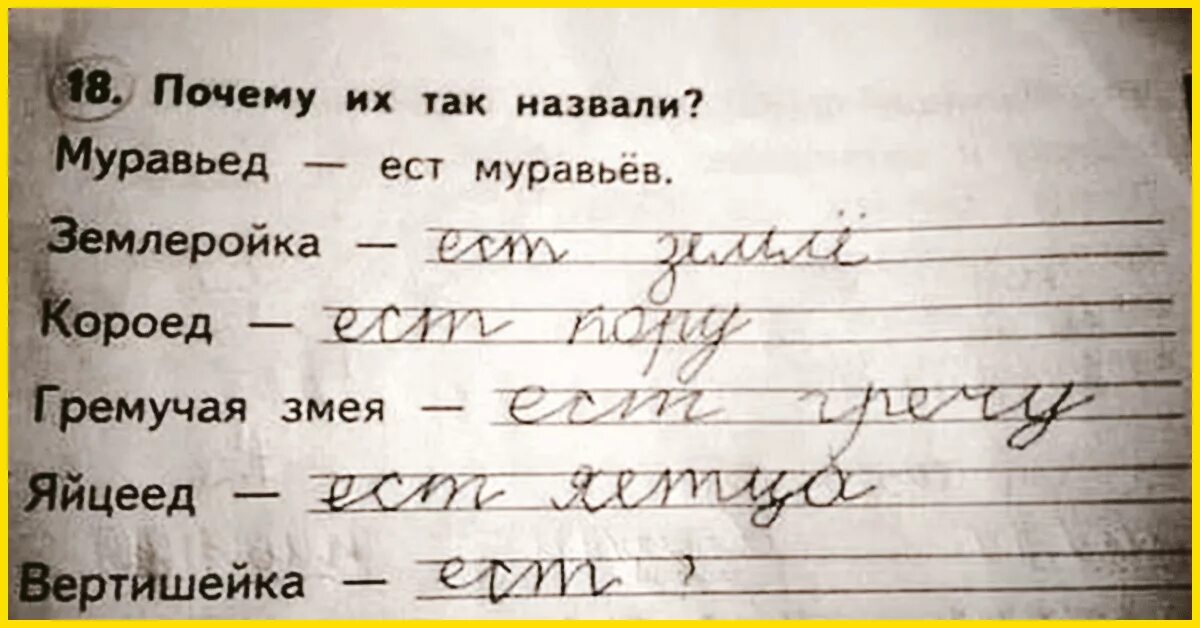 Смешные сочинения школьников. Смешные сочинения детей. Приколы из детских сочинений. Смешные ответы детей в тетрадях. Смешные домашние задания