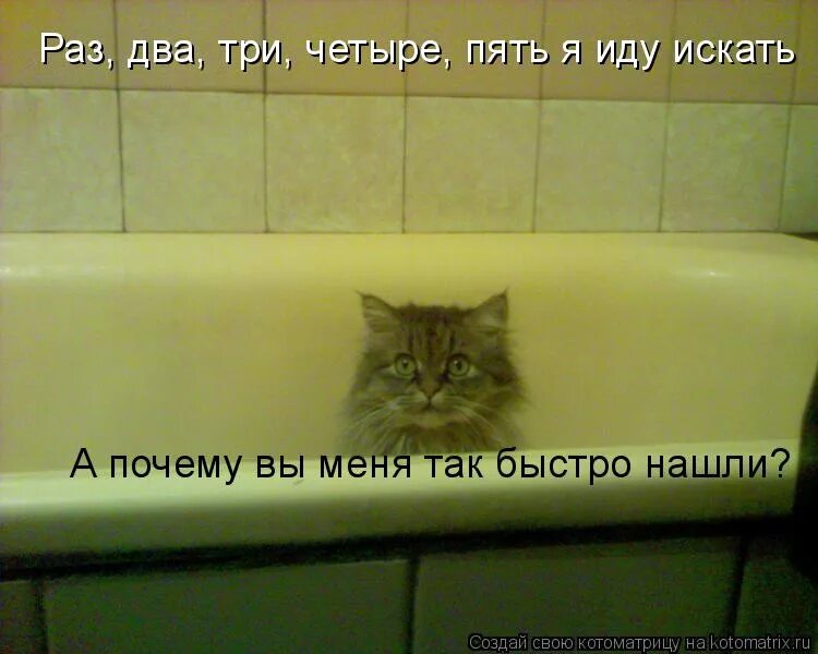 раз два я иду искать три четыре. иду иду. раз два три четыре пять я иду тебя искать. 1 2 3 4 5 я иду тебя искать. раз, два, три, четыре, пять.