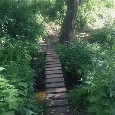 Толстой ручей