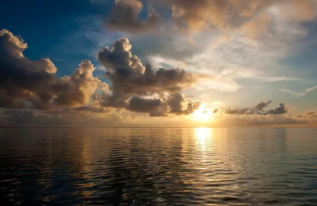 афоризмы про страх и неуверенность. твоя любовь безбрежный океан. одинокая девушка у моря. закат романтика. солнце счастье.