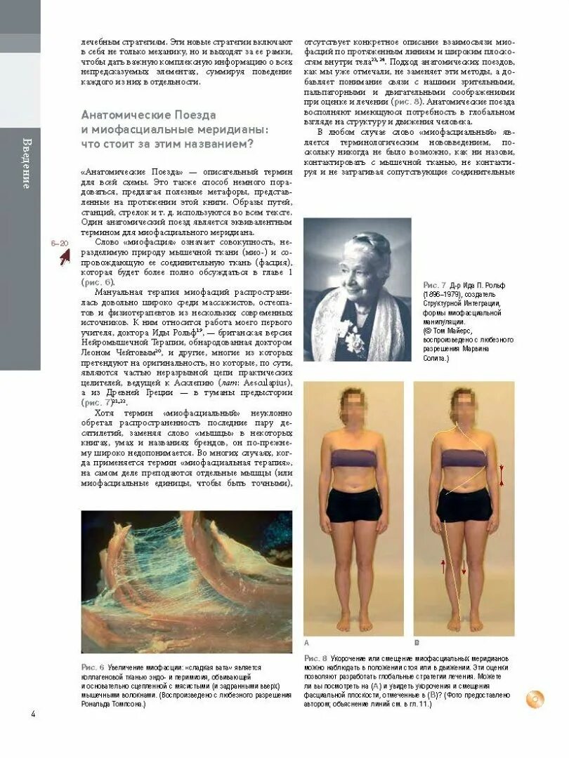 Анатомический атлас Томаса Майерса. Книга томаса майерса анатомические поезда