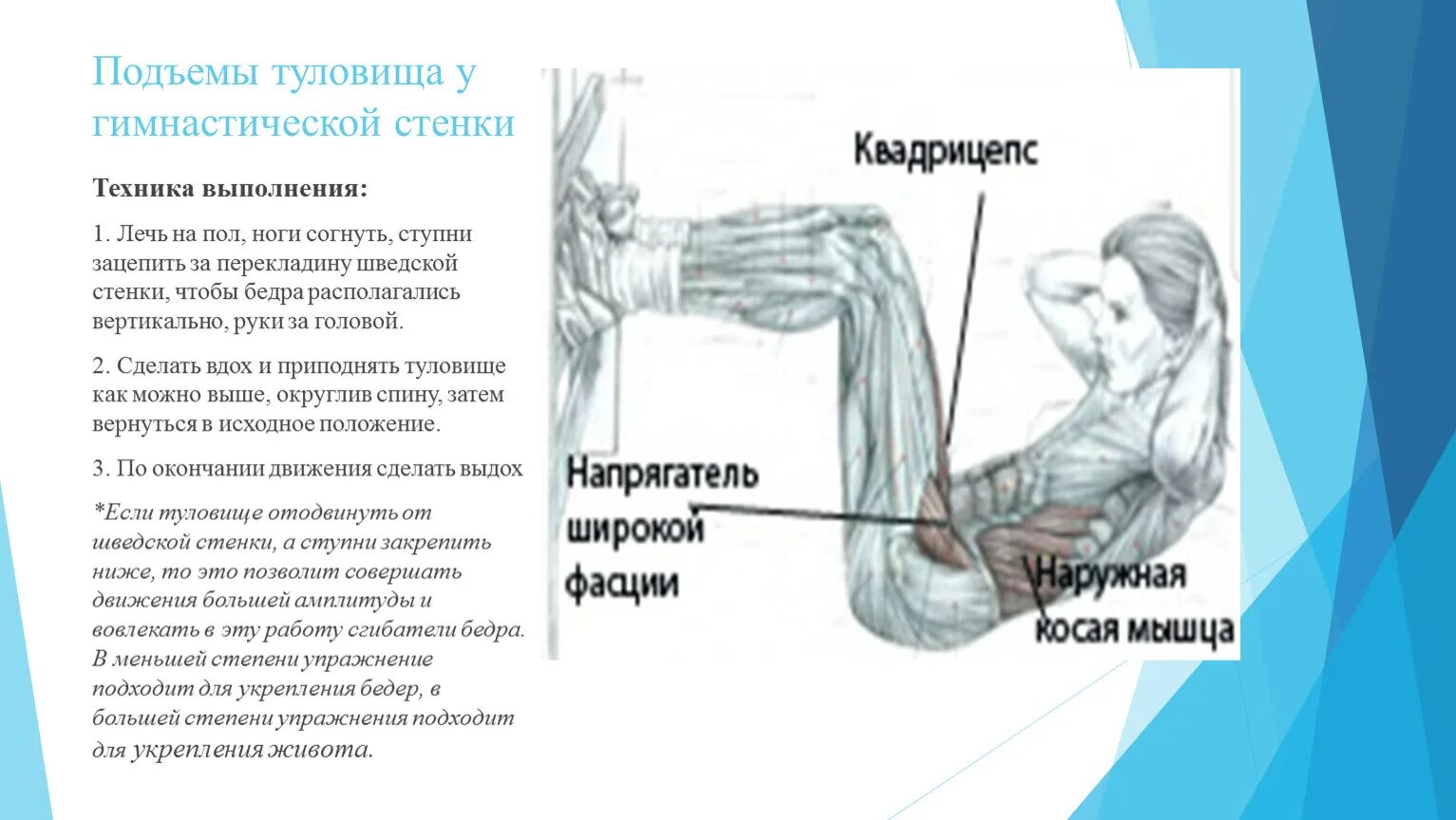 Подъем раз. Техника выполнения подъема туловища. Упражнение подъем туловища. Подъем туловища лежа техника. Упражнение пресс техника выполнения.
