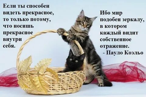 Жизнь прекрасна еще и потому что впр