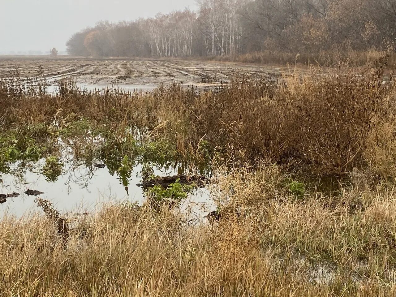 Пруды Оренбург поселок. Дамбы в Оренбург. Ивановский водозабор Оренбург. Посёлок пруды Оренбург вода.