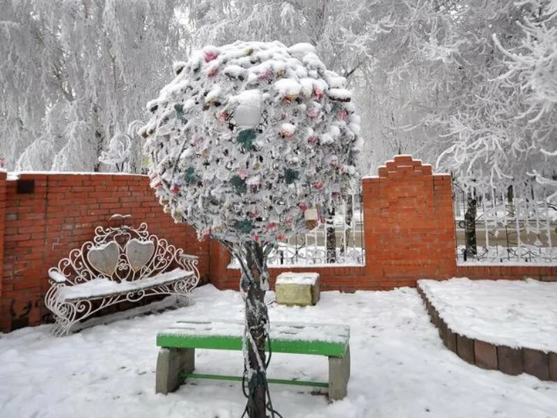 Заринск город. Заринск фото города. Поле коммунаров заринск. Город заринск фонтан. Заринск зимой.