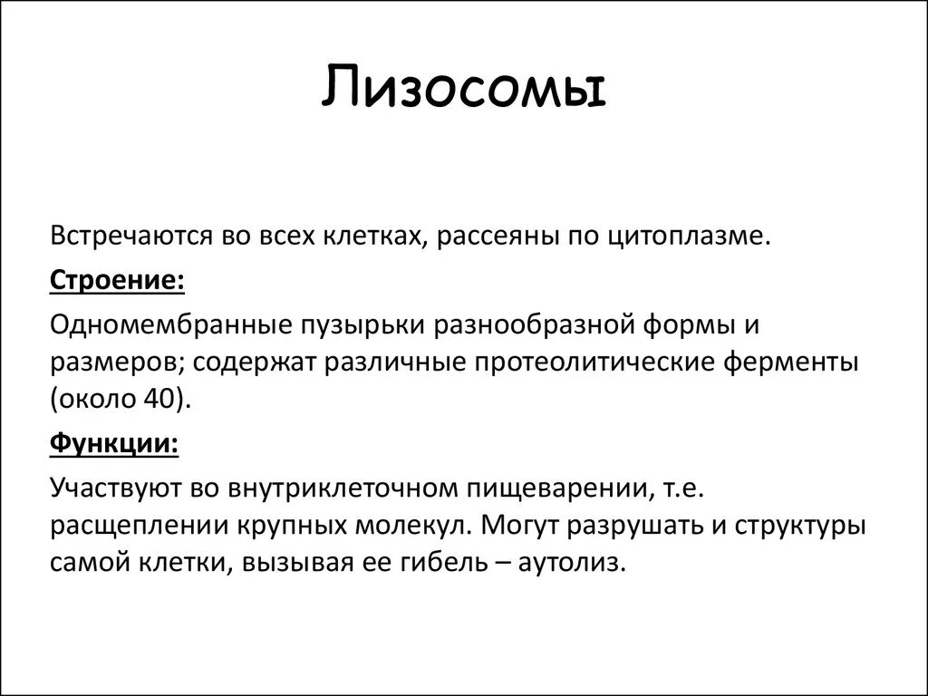 Лизосомы строение и функции кратко. Лизосомы функции кратко. Строение и выполняемые функции лизосомы. Лизосомы строение и функции таблица. Роль лизосом