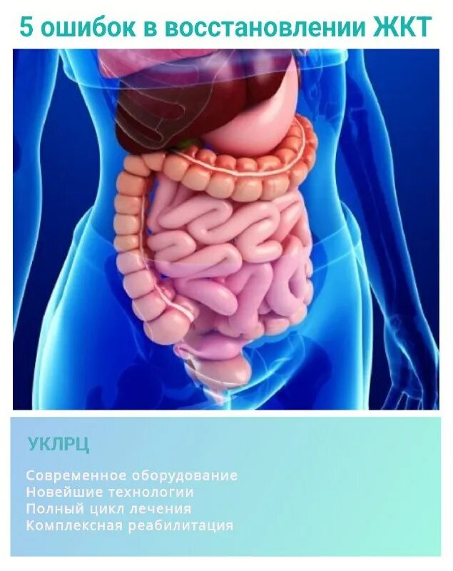 гастроэнтерологическое исследования. узи в гастроэнтерологии. гастроэнтеролог реклама. гастроэнтеролог акция. диагностика жкт.