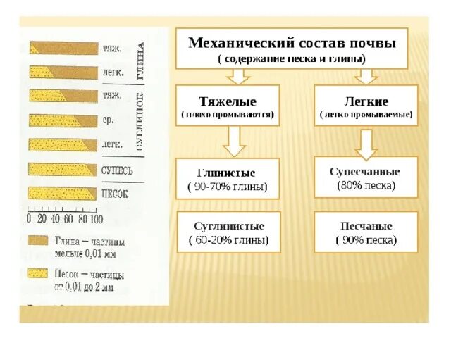 Какая почва по механическому составу содержит