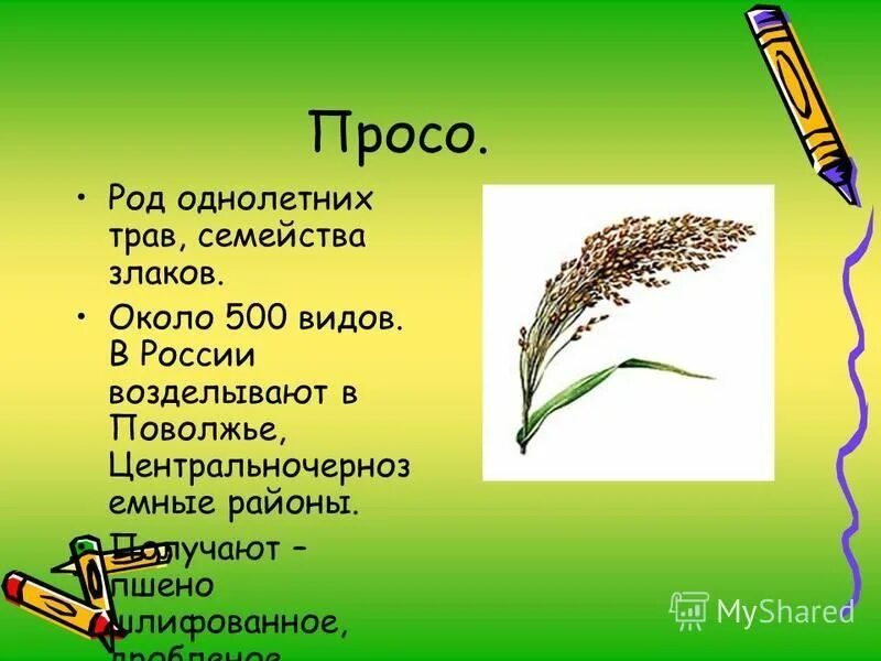 Просе л