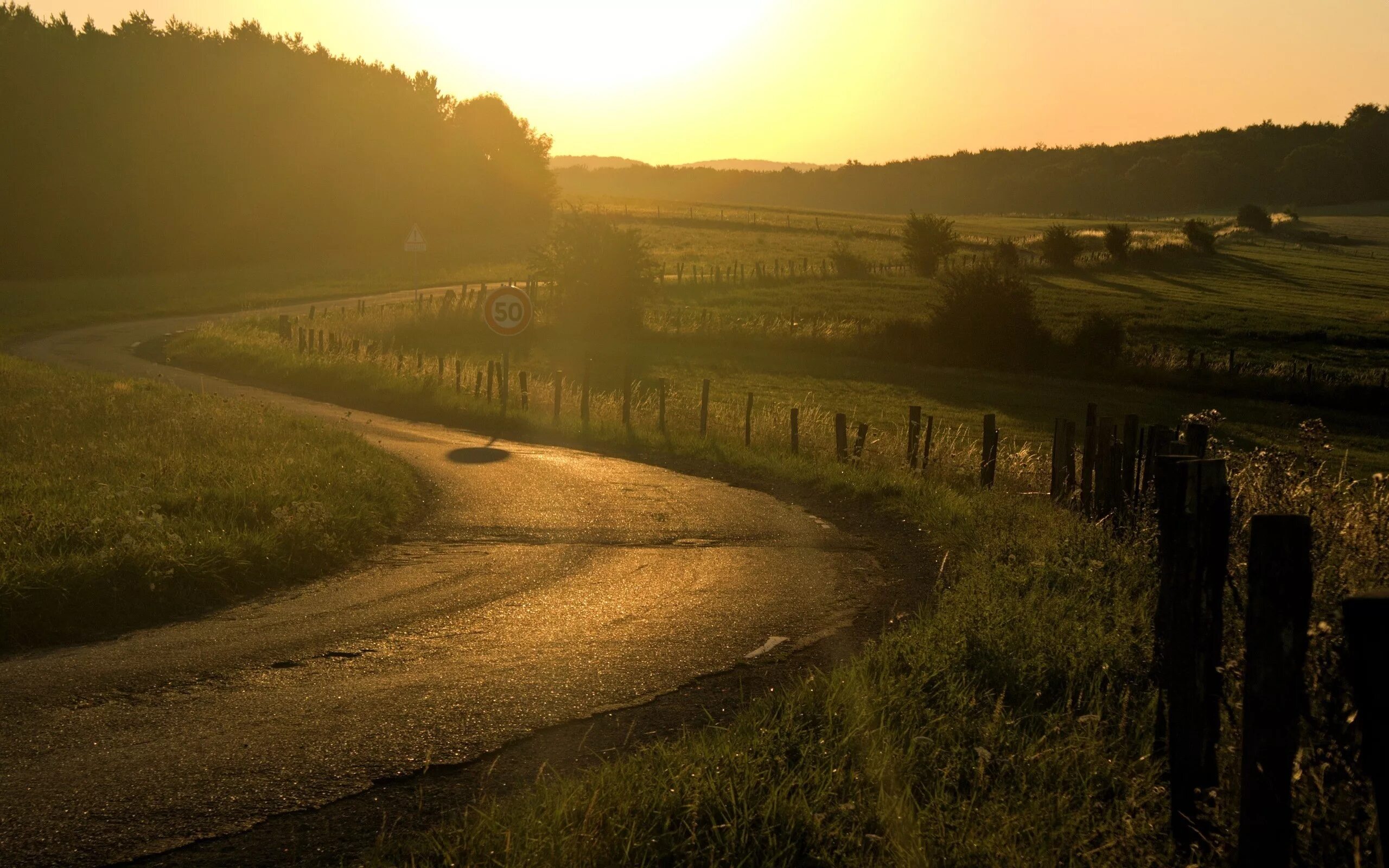 Утро вдали. Летняя дорога. Сельская дорога. Солнце на дороге. Дорога в деревне.