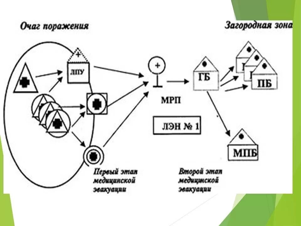 Структура очагов поражения