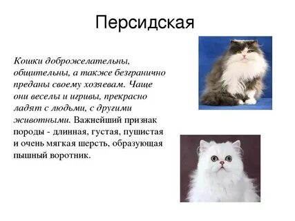 Делать персов