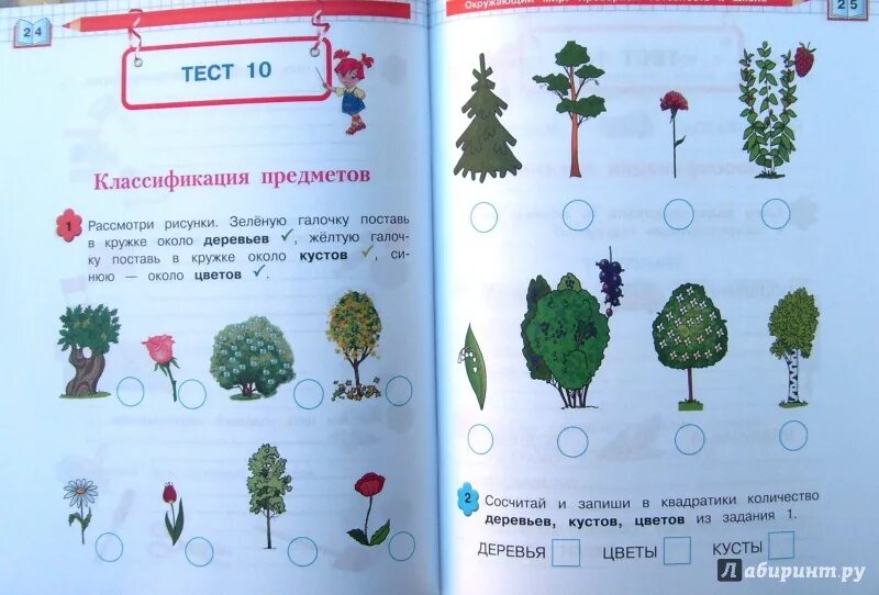 Задание окружающий деревья задание. Деревья задания. деревья задания для детей. деревья задания для детей 5 лет. деревья задания для детей 1 класс.